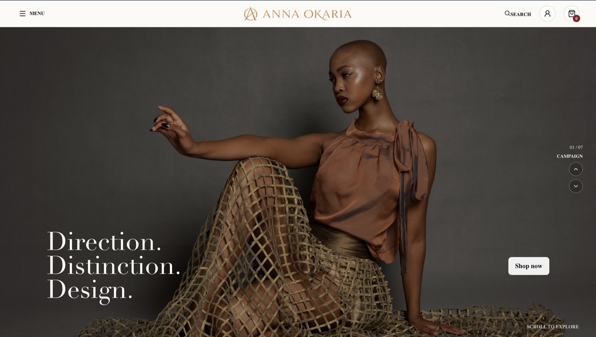 Anna Okaria website screenshot